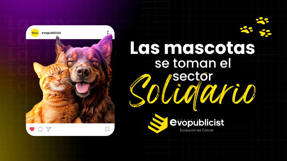 Mascotas, la tendencia Coop